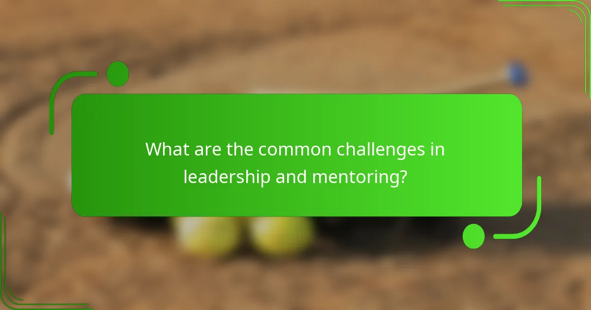 What are the common challenges in leadership and mentoring?