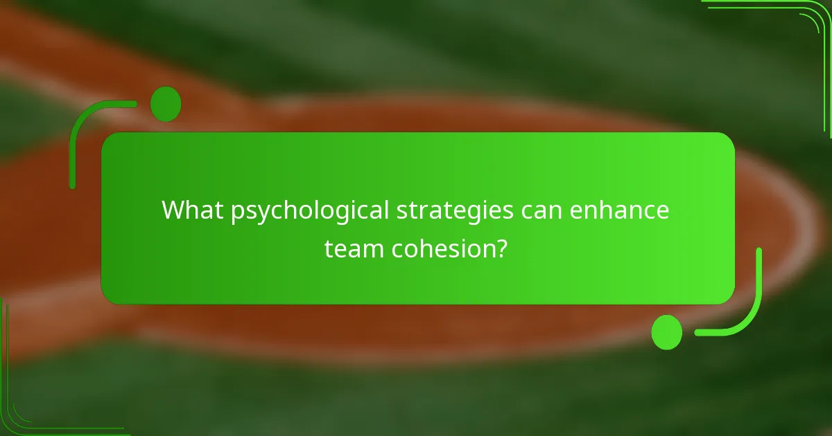 What psychological strategies can enhance team cohesion?